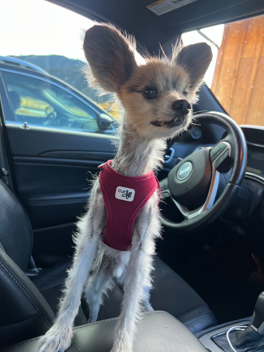 Geoff Renaud | Renaud Partners tweet media