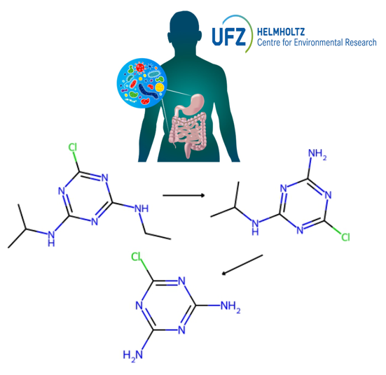 molsyb's tweet photo. Can we predict transformation of xenobiotics by the human microbiome? Try out and propose solutions in a competition featured by @kaggle:

https://t.co/oR3ClpgrE1 https://t.co/tT0WcsDTdD