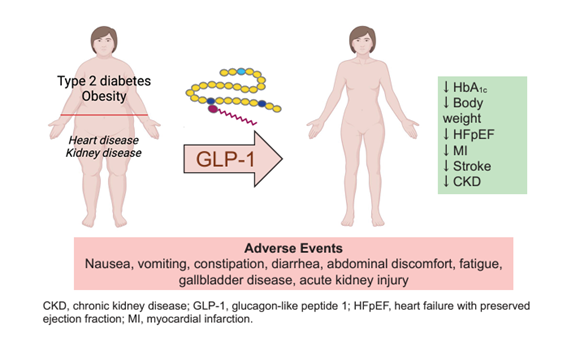 sociedadSEEN's tweet photo. 💢Efficacy and Safety of GLP-1 Medicines for Type 2 Diabetes and Obesity
👉El desarrollo de #aGLP1 para la #DM2 y la obesidad fue seguido por datos que establecieron los beneficios cardiorrenales en poblaciones seleccionadas
https://t.co/tMa9lHjd89
@diabeteSEEN @ObesitySeen https://t.co/KDDHTDcGbf