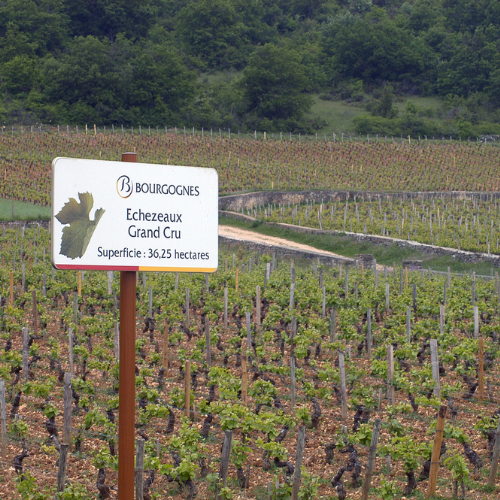 Un panneau d'AOC Bourgogne chez vous !
Le 12 novembre, participez à une vente aux enchères exceptionnelle d’anciens panneaux d'appellations.

Tous les détails pour s'inscrire et suivre la vente en direct :  bit.ly/3Up9B5D