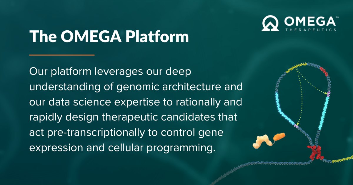 What sets the OMEGA Platform apart?
✔️ #EpigenomicControllers, designed to be highly specific for target gene
✔️ Customizable delivery tailored for specific diseases 
✔️ AI-driven approach enabling rapid design, development, &amp; optimization
Learn more: bit.ly/3zsae6I