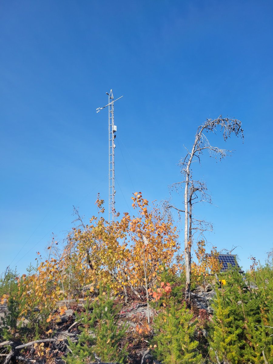 Kyra Simone tweet media