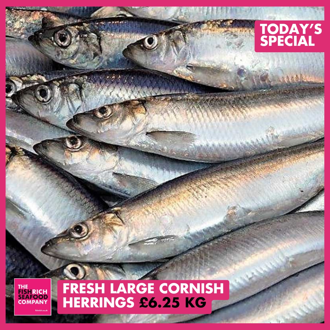 The FishRich Seafood Company tweet media