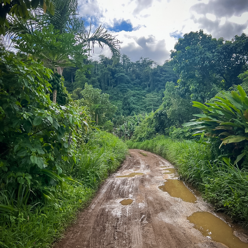 aSabbatical_com's tweet photo. Beautiful #Vanuatu in pictures 😍🌍🇻🇺
1. Green road around #Efate
2. Catamaran near #Hideaway Island
3. Road to #Aelan #Chocolate Factory
Read my blog to learn more: 🔗🔎⠀
https://t.co/P3xdvorUki
#asabbatical #sabbatical #travelphotoblog #volcanicisland https://t.co/kleeRUWEo3