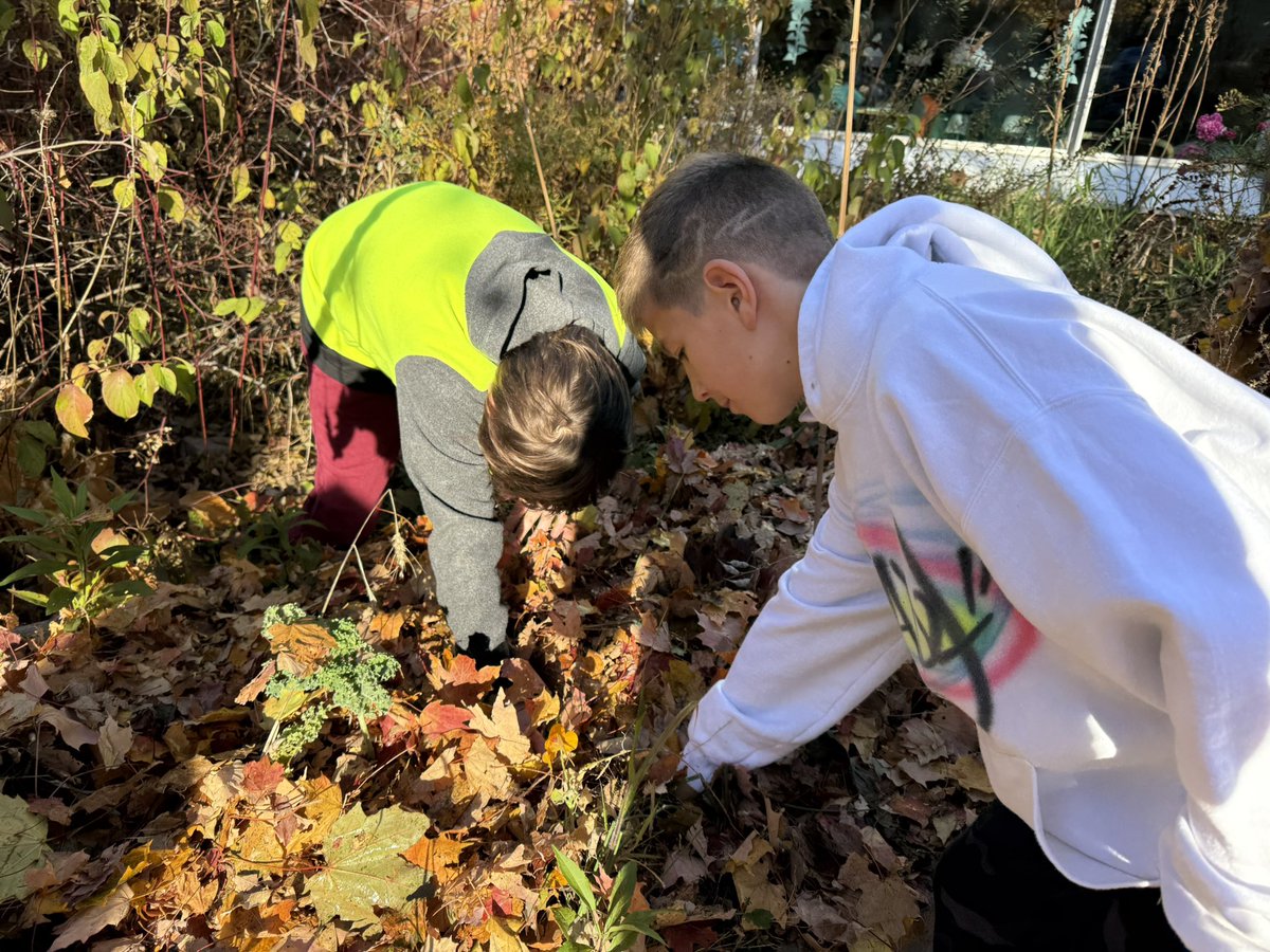 Nasim Askarinasab tweet media