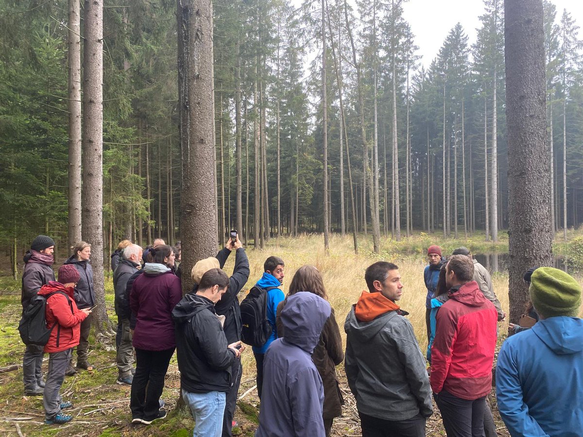 FCesefor's tweet photo. 🌍 También esta semana @FCesefor y técnicos de la @jcyl hemos presentando en @CZUvPraze (Praga) los trabajos de restauración en la demo española del Bierzo y los avances con el plan de escalamiento para restaurar el #hábitat del #osopardo cantábrico en Castilla y León. https://t.co/gJaWkbMuvx