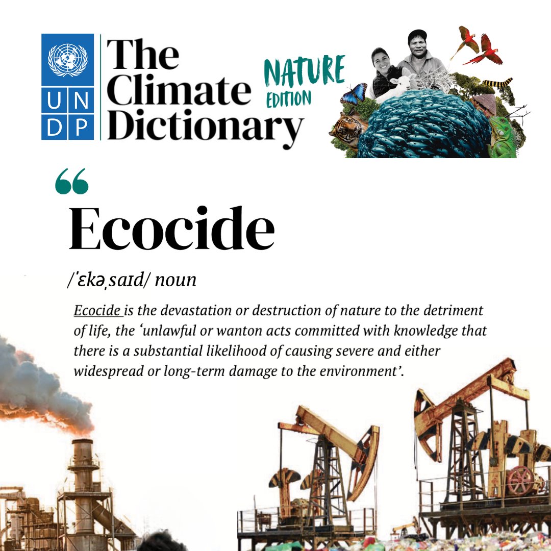 #Ecocide was featured in the <a href="/UNDP/">UN Development</a>'s #ClimateDictionary Nature Edition alongside key terms like #environmentaljustice and #indigenousknowledge! 🦋🦜🌏

Read it HERE ➡️: climatepromise.undp.org/news-and-stori…

Learn more about #ecocidelaw 👉: stopecocide.earth

#StopEcocide <a href="/UNBiodiversity/">UN Biodiversity</a>
