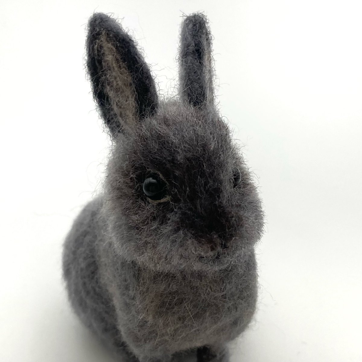 earlrabbit's tweet photo. 本人のうさぎ毛(抜け毛)を使用(羊毛とミックス)したうさぎさん。
#羊毛フェルト #うさぎ https://t.co/iMMPpaZZU9