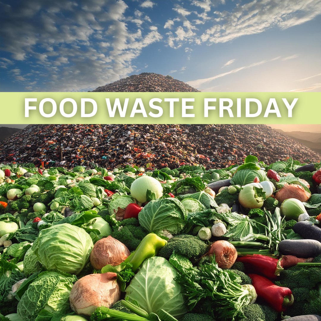 🌎 Tackling Canada’s Food Waste Crisis 🌎

🍽️ Did you know? Across Canada, almost 46.5% of food produced goes to waste – that’s a whopping 21.18 million tonnes, with 41.7% of this food still perfectly edible! This could feed 17 million people every year. 💡