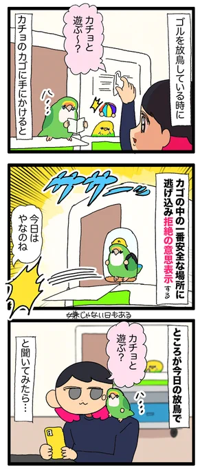 ゴルちゃちゃん、ついに「カチョと遊ぶ?」だけで家に帰るようになった🏠

1948 #えるポピの絵日記かくところ 