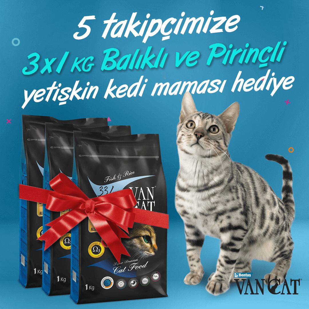 🎁 VanCat Kedi Maması Çekilişi! 🎁

Çekilişimize katılmak için:
🐾 <a href="/VanCatTurkiye/">VanCat Türkiye</a>  sayfamızı takip et,
🐾 Bu gönderiyi beğen ve repostla,
🐾 Bir arkadaşını yoruma etiketle!

5 takipçimize 3 kg #VanCat Balıklı ve Pirinçli #KediMaması #Hediye! 😻

🛎 Çekiliş sonuçları 4 Kasım!