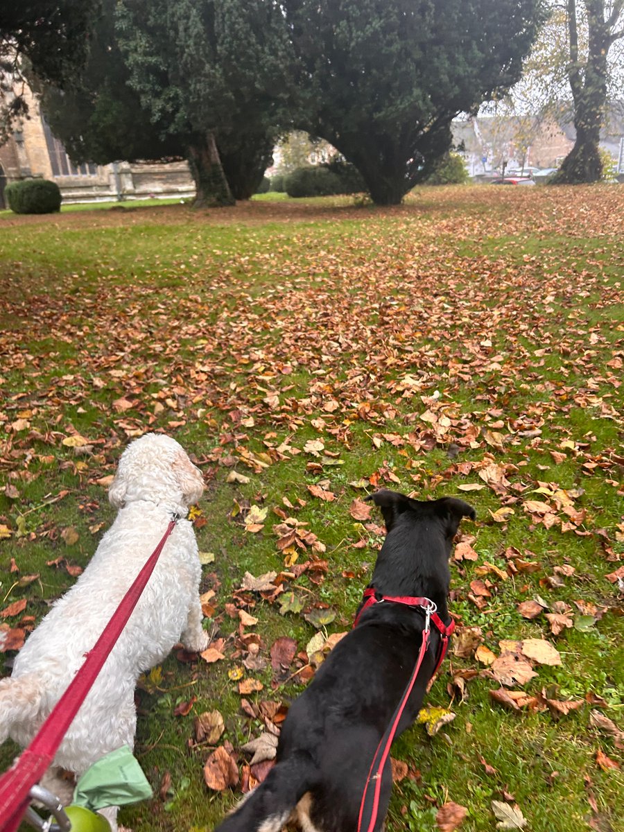 Autumn is here 🍂🍁