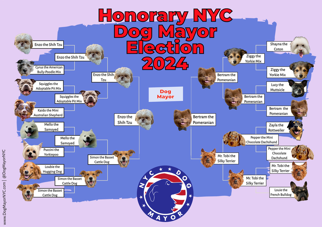 The updated bracket for Honorary NYC Dog Mayor is here, following the advancement of Enzo the Shih Tzu to the final round of voting!

Tune in Monday 11/4 when the final match between Enzo and Bertram the Pomeranian determines who becomes Honorary NYC Dog Mayor! #dogmayornyc