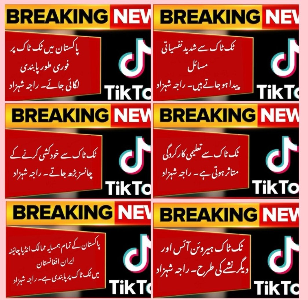 ھم تمام پاکستانی ریاست پاکستان سے گزارش کرتے ہیں کہ ٹک ٹاک پر پابندی لگائی جائے۔

یہ پلیٹ فارم فحاشی، بے حیائی، جہالت، جعلی خبروں اور ملک میں فتنہ فساد کا باعث بن رہا ہے۔

آپ سب بھی اپنا نام لکھ کر یہ پیغام شئیر کرتے جائیں، سلسلہ رکنا نہیں چاہئے 
#BanTiktokSavePakistan