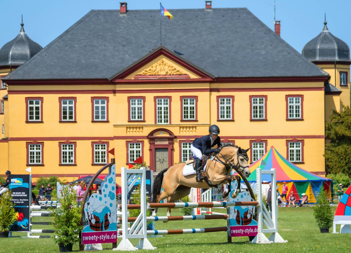 HorsewebDe's tweet image. Gleich doppelt kehrt die “Goldene Schärpe” nach Hohen Luckow zurück: Erneut vergab die FN den bundesweiten Wettbewerb nach Mecklenburg-Vorpommern und zwar sowohl für die Ponys als auch für die Pferde. #GoldeneSchaerpe #mvtutgut #pferdesport
horseweb.de/2024/10/25/gol…