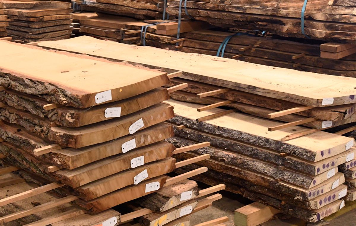 Looking for high-quality wood for your next project? Discover a diverse selection at our Wood Slab Sale Nov. 2. Craft your next masterpiece sustainably with unique pieces from more than 40 tree species. Arboretum members get a 10% discount on their purchases. Timed-entry tickets