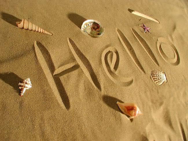 Red Sea Holidays tweet media