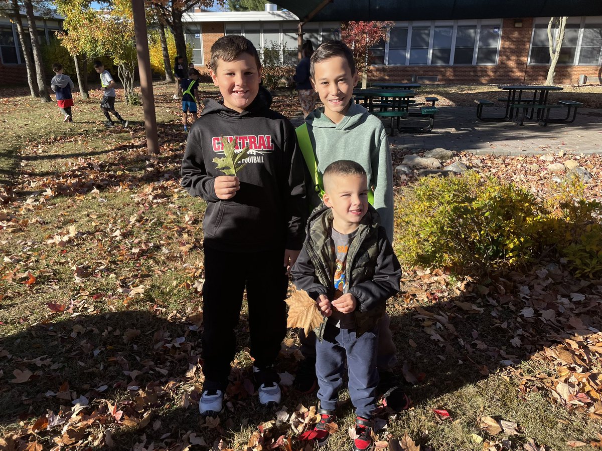 Mrs. Schwimmer tweet media