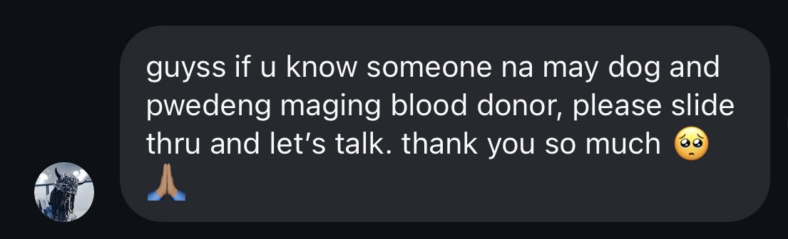 Hi guys! Mo is currently asking for help from people who have dogs na pwedeng maging blood donor. You can reach out to him 🤍🙏 Thank you! #alamat_mo
