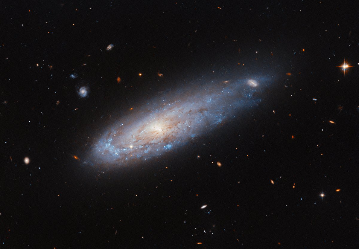 NASAHubble's tweet image. On the move 👋

This new #HubbleFriday view shows the galaxy IC 3225, which looks like it's speeding through space.

Its distorted shape likely formed when it rammed through a thick intracluster medium of gas and dust, which stripped IC 3225 of some gas: go.nasa.gov/48CT2ZX