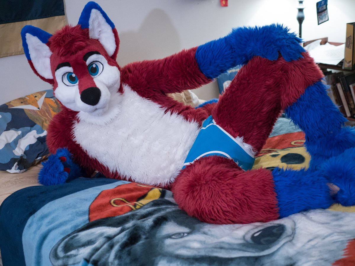 🐾Kojac🐾 tweet media