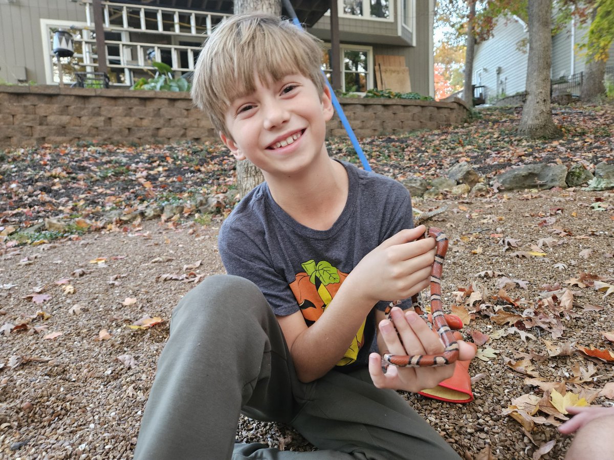 Tim Sullivan tweet media