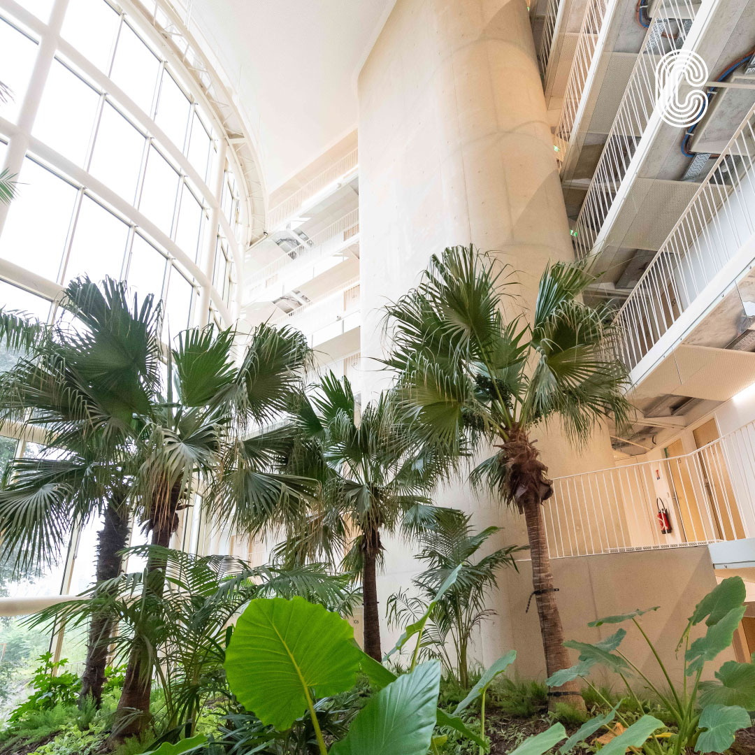 Cité internationale universitaire de Paris (@ciup_fr) on Twitter photo La Maison d’Égypte de la <a href="/ciup_fr/">Cité internationale universitaire de Paris</a> accueille, pour sa première rentrée universitaire, un contingent d’étudiants et de chercheurs égyptiens et du monde entier, conformément aux règles de brassage du campus. Plus d’infos ➡️ ciup.fr/premiere-rentr… La Maison d’Égypte de la <a href="/ciup_fr/">Cité internationale universitaire de Paris</a> accueille, pour sa première rentrée universitaire, un contingent d’étudiants et de chercheurs égyptiens et du monde entier, conformément aux règles de brassage du campus. Plus d’infos ➡️ ciup.fr/premiere-rentr…