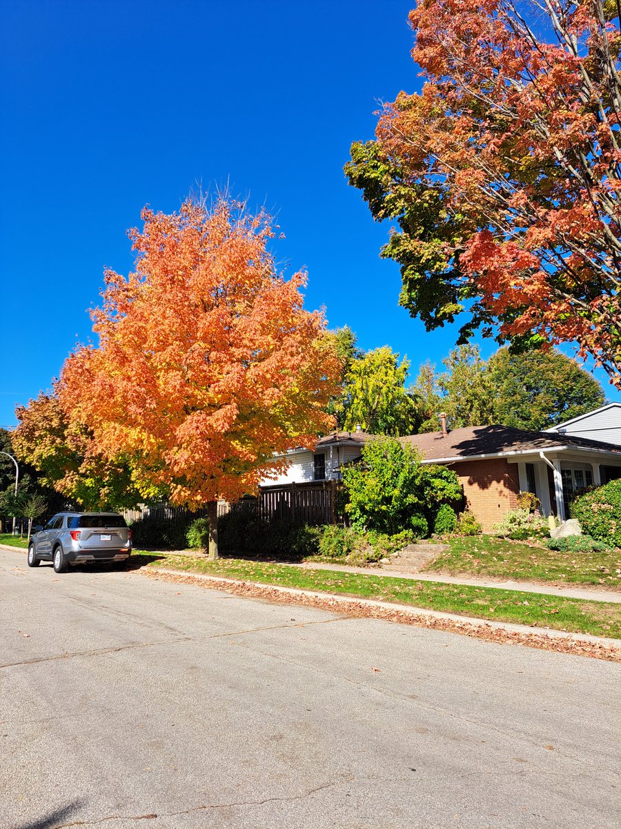 FertilityCareTO's tweet photo. As this month comes to a close, our team members are logging their KMs and enjoying the beautiful fall colours. See our pinned post on how you can donate to our Waterfront Charity Challenge until October 31st! https://t.co/ippzg41Ini