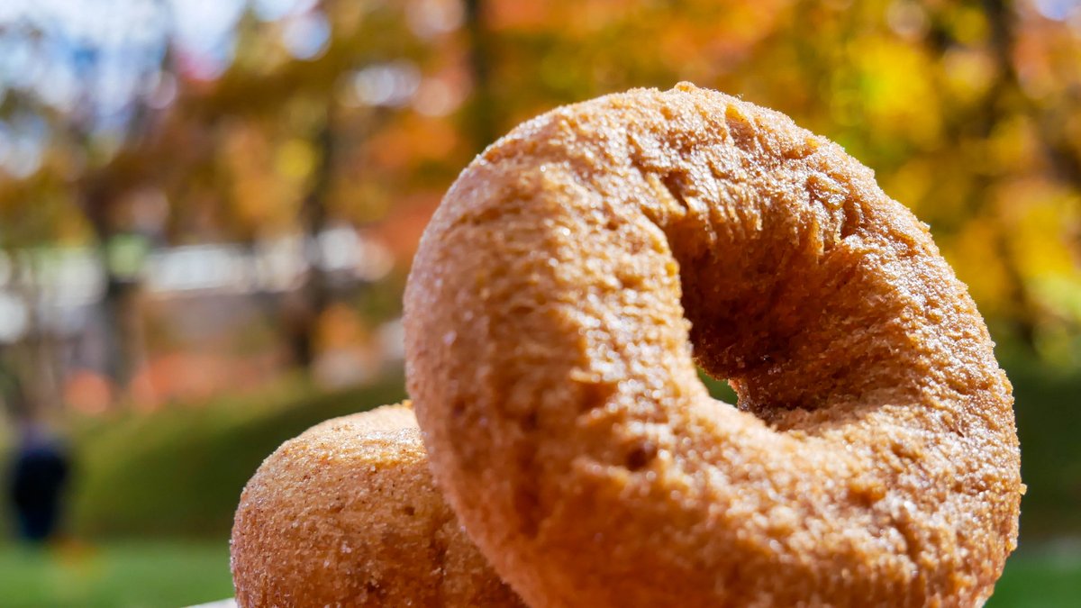 Some people say the best part of Fall is the Apple Spice Donuts from Wesco.
#gowesco #fallvibes #applespice