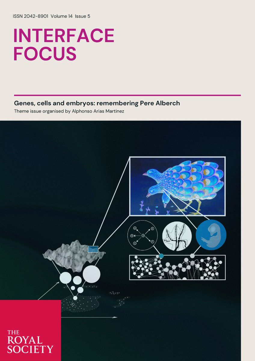 With the current emphasis on 'perfect' and 'complete' stem-cell-based embryo models, we take a step back to think about how imperfect forms can key us in on hidden rules underlying development and embryogenesis. Join us on this historical walk through Alberch's Logic of Monsters.