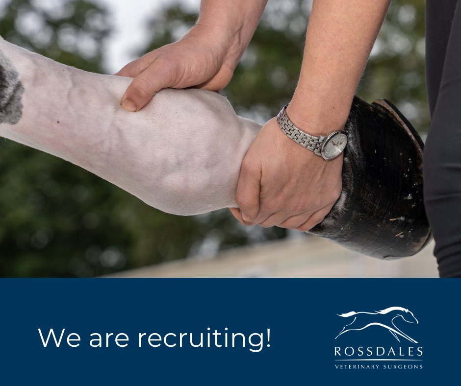 We are seeking to appoint an experienced Equine Veterinary Surgeon to join our busy ambulatory team based at our <a href="/RossdalesHerts/">Rossdales Herts</a> Practice. Extensive and varied client base, which includes leisure horse owners, professional yards and stud clients. rossdales.com/jobs/associate…