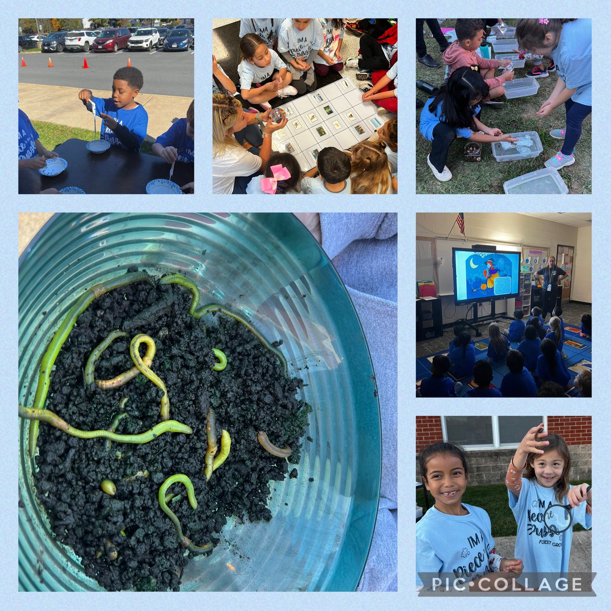 Rhonda Lopez (@lopezronniejl) on Twitter photo What a way to celebrate STEAM and engagement in learning by doing. Falcons Bytes Days <a href="/ForestGroveES/">Forest Grove ES</a> were a huge success. Thank you @Robertsonspride for organizing such a fun and exciting 2 days! #WeAllFitTogether What a way to celebrate STEAM and engagement in learning by doing. Falcons Bytes Days <a href="/ForestGroveES/">Forest Grove ES</a> were a huge success. Thank you @Robertsonspride for organizing such a fun and exciting 2 days! #WeAllFitTogether