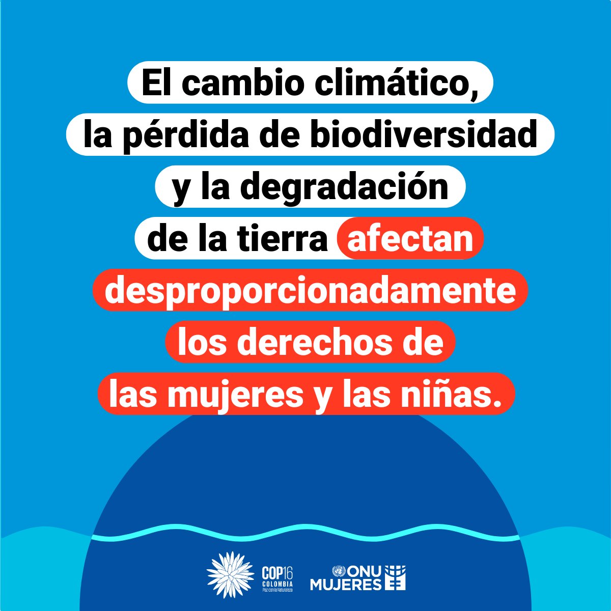 ONUMujeres's tweet image. 🌊🌾 El cambio climático, la pérdida de biodiversidad y la degradación de la tierra son crisis interrelacionadas con un impacto desproporcionado en los derechos de las mujeres y las niñas en toda su diversidad.​

#COP16 #PazConLaNaturaleza