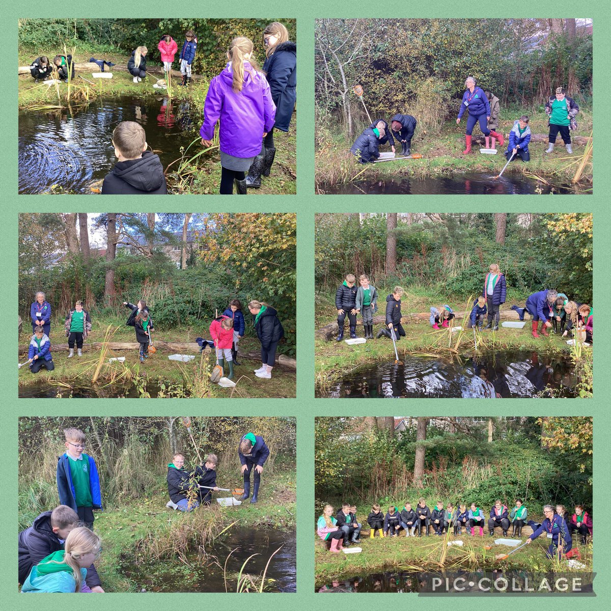 StMarysCIWBJ's tweet photo. Pond dipping this week with @GwentGreenGrid #helpingnaturetohelpus #bgcbccountryside @StMarysCIW @bgstemproject https://t.co/6CL1TQ0u3q