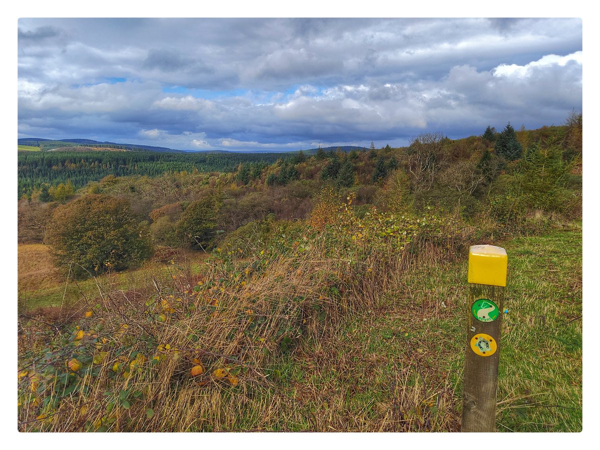 smoggiewalks's tweet image. On the Epynt way (Halfway forest) #getoutside #explorelocal #discoverlocal #BorderCollie #dogsoftwitter #epyntway @DerekTheWeather @OrdnanceSurvey @NatResWales @MidWalesMyWay @EpyntWayA