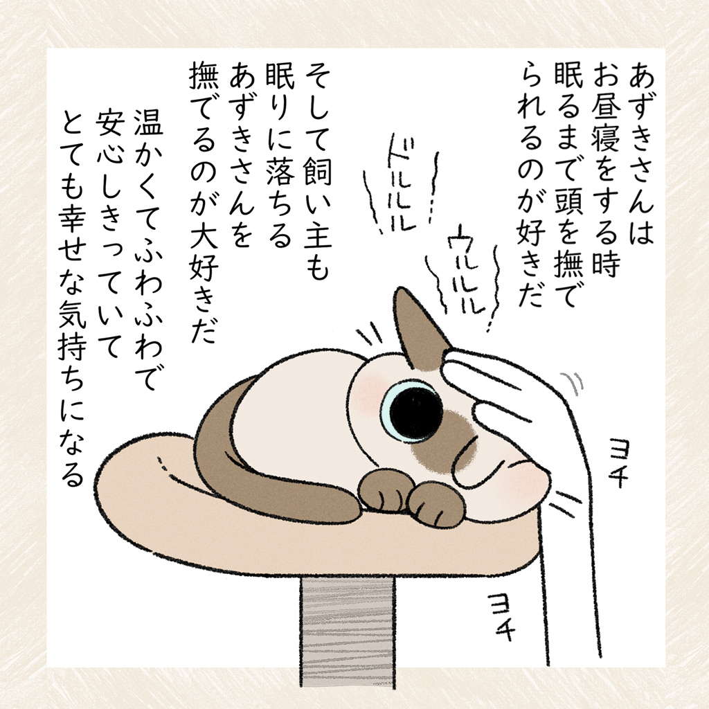 立ち眩みもする(貧弱) #シャム猫あずきさんは世界の中心 