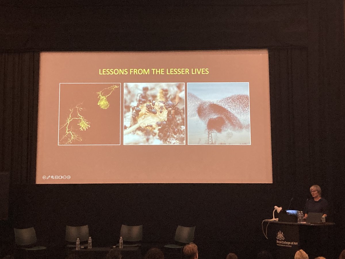 _MichaelStead's tweet photo. Inspiring keynotes from @jamesbridle &amp; Heather Barnett  for Tuukka Toivonen, @delfina_fantini, Onya Idoko &amp; team's Becoming Regenerative project. So cool Heather getting everyone to become a 'murmuration' &amp; explore more-than-human behaviour via embodied enactment 🐦🌱🎨🌎 https://t.co/HZMUJipMXN