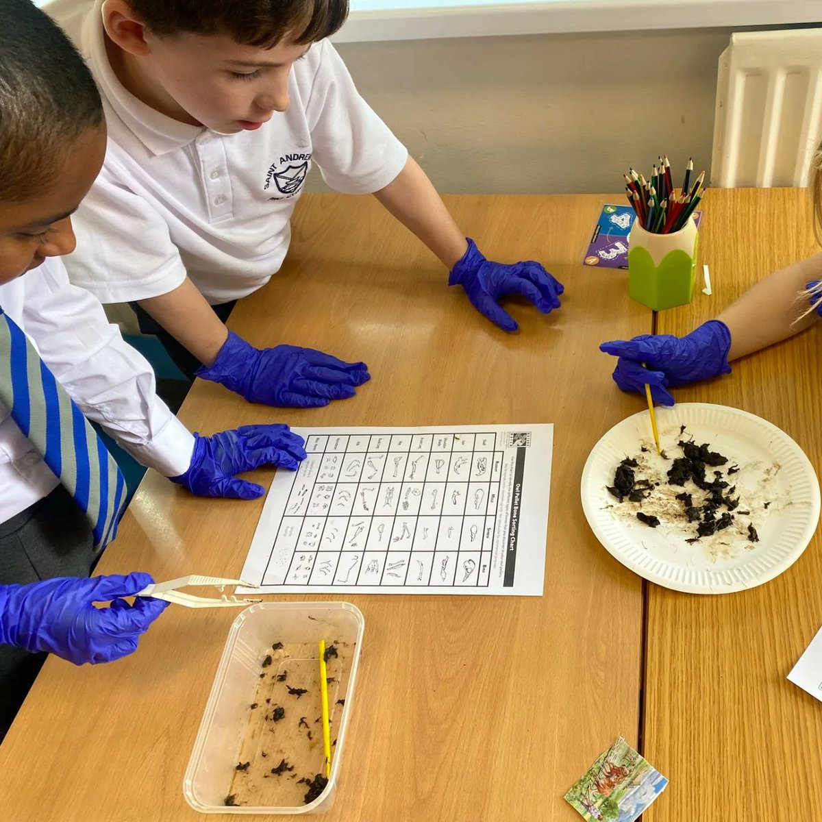 StAndrewsOLAAS's tweet image. Science in Year 3 was not for the fainthearted this week! Dissecting owl pellets 🦉🔬
#bringinglearningtolife #miniscientists