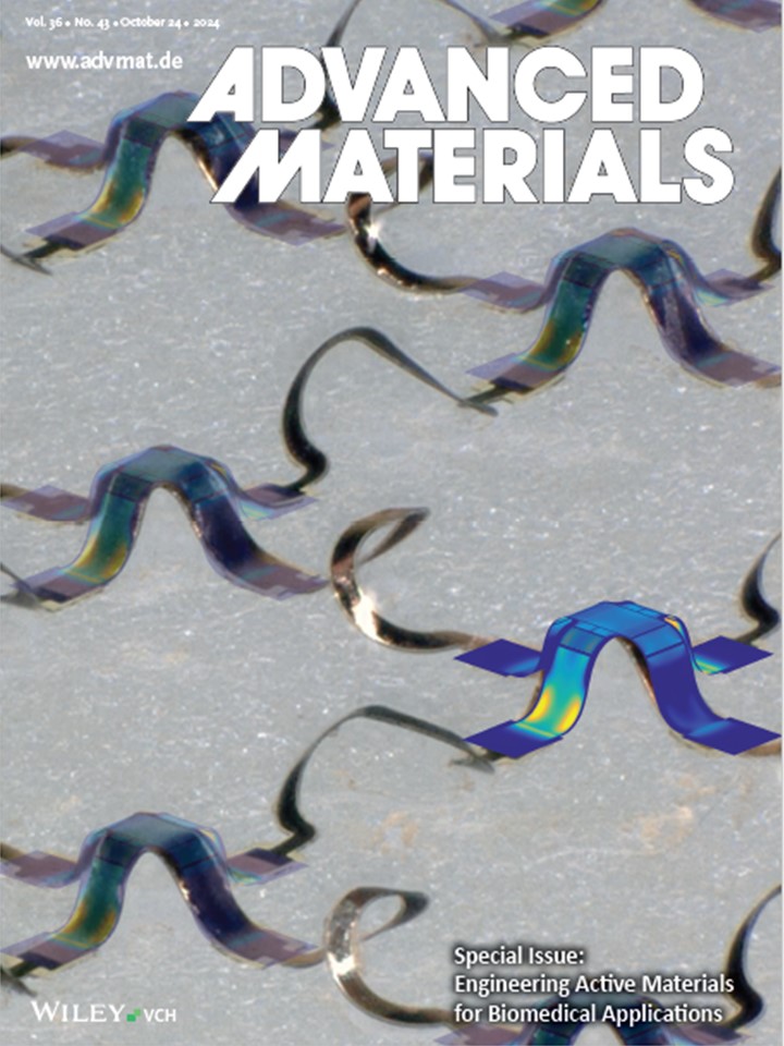 John A Rogers tweet media