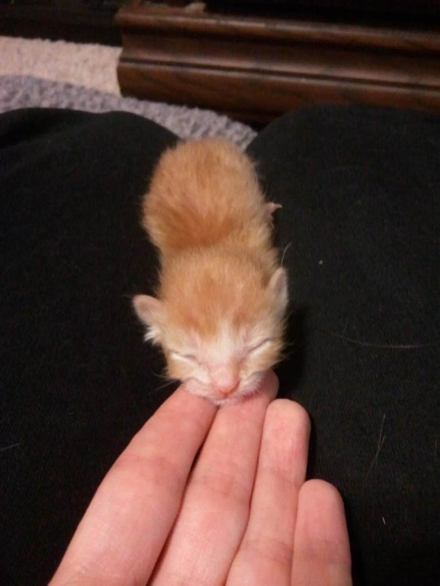 litol,,, eepy worm,, babys,,