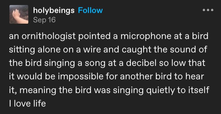 gm, it's Friday, go outside