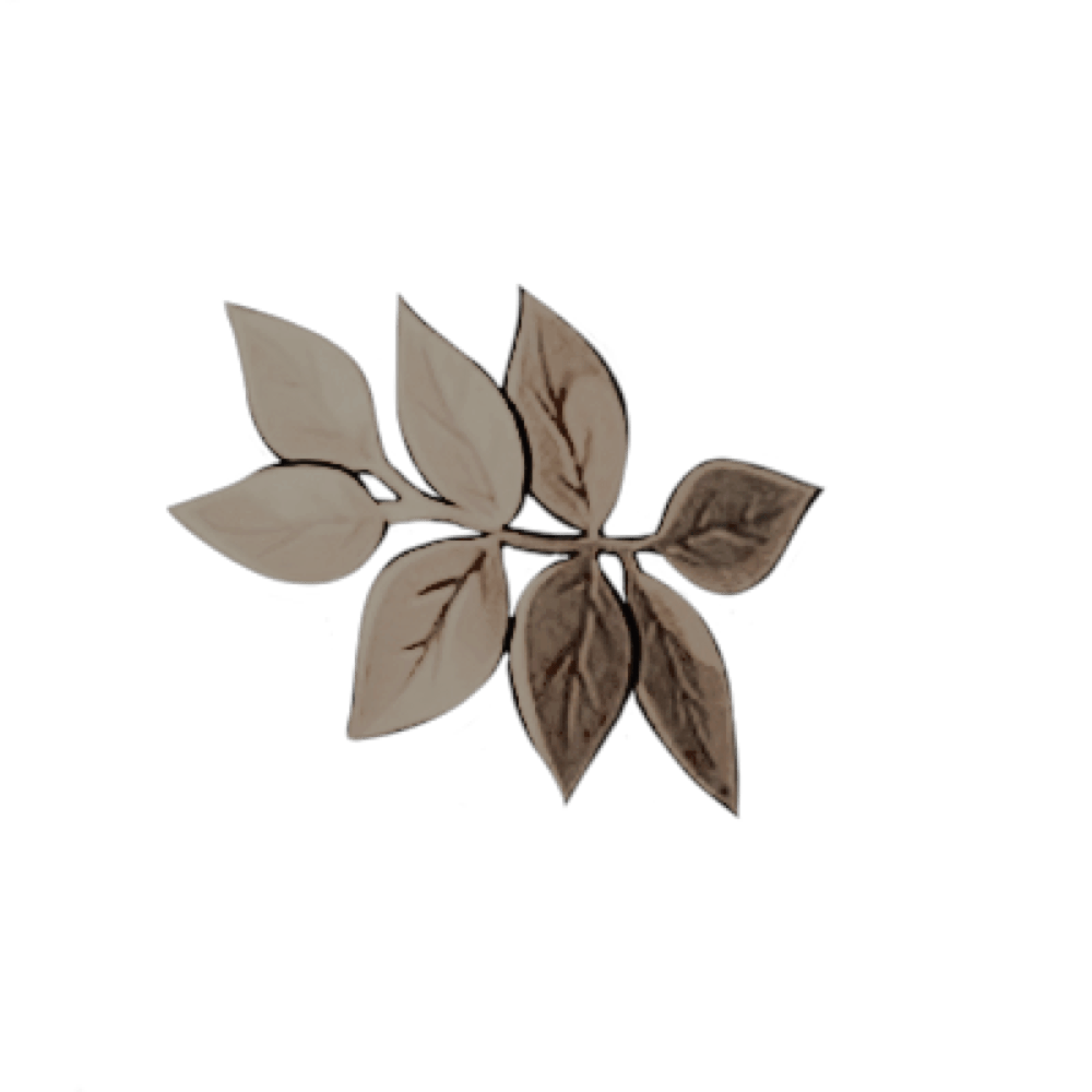 VERAClTIES's tweet photo. ᅠ    
ᅠ    
⠀⠀⠀⠀𝐕𝐈𝐍𝙲𝙸𝐓⠀𝙾𝙼𝙽𝙸𝙰   𝐕𝙴𝚁𝙸𝐓𝐀𝐒
⠀⠀⠀⠀⠀ ⠀ ⠀⠀⠀   ┊ 𓆩⟡𓆪 ┊
ᅠ    
ᅠ https://t.co/Y0bdm3GYS4