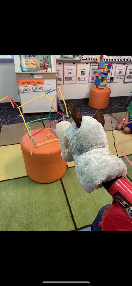 Kassidy Solomon tweet media