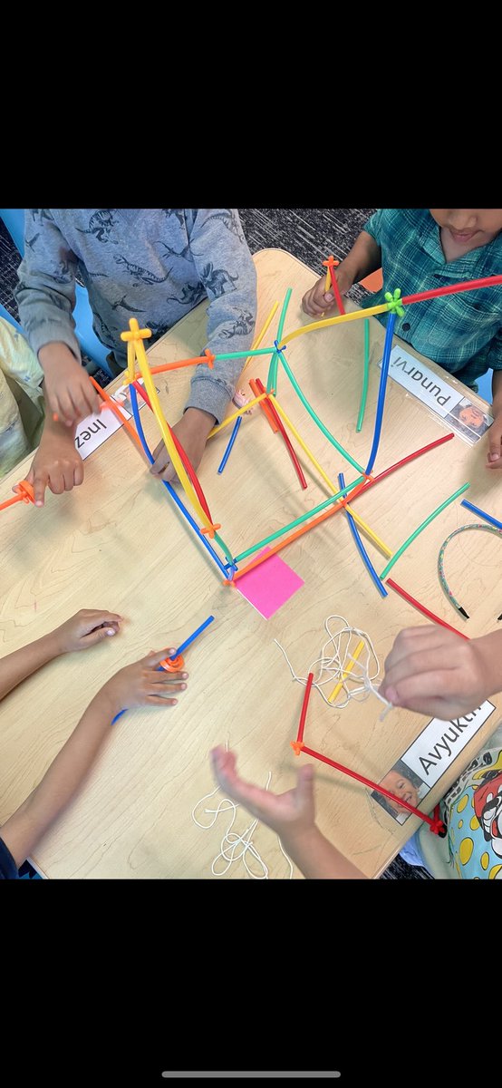 Kassidy Solomon tweet media