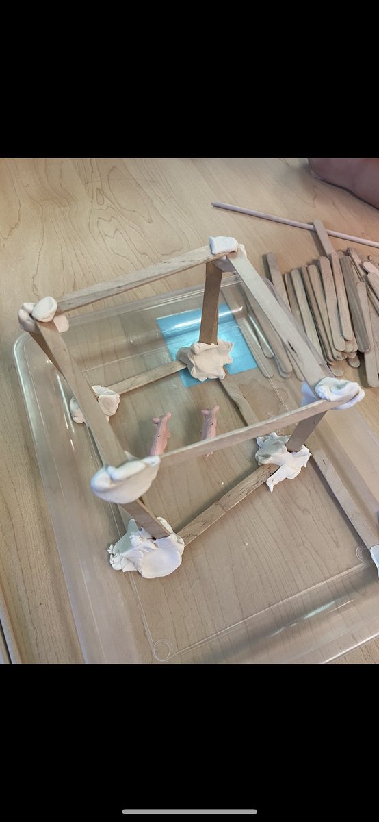 Kassidy Solomon tweet media