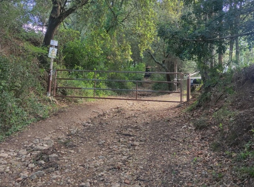 TallerHistòriaCelrà tweet media