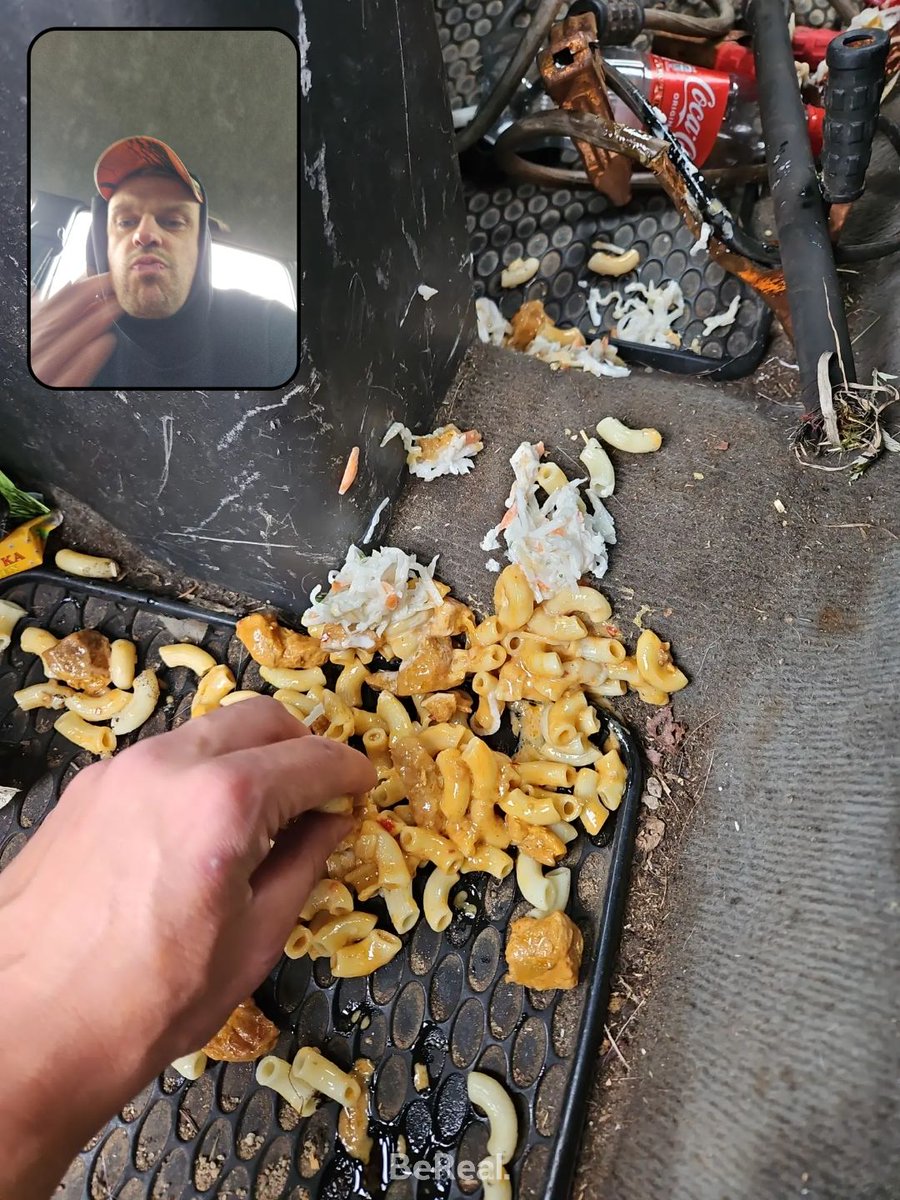 Dzīve ir pārsteigumu pilna. Vienu dienu tev lutina Remzija kolēģis, citā - ēd no mašīnas paklājiņa.