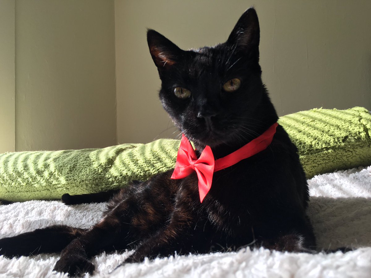 handsome boy STUNS in new photo