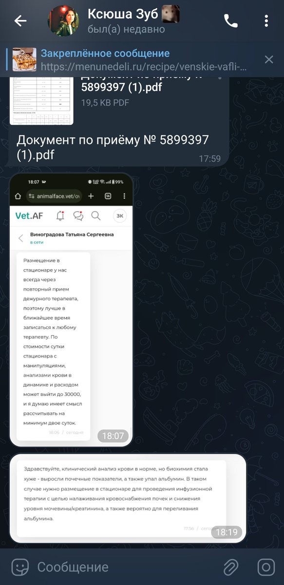 ohmygdalus's tweet photo. уважаемые коллеги, никогда таким не занималась, но ситуация очень печальная, мне нужны деньги на лечение кошки 

неделю назад у моей муры нашли лимфому и сейчас её показатели крови очень сильно падают, ей нужно в стационар

2200 2407 1210 7248 втб
4276550062829646 сбер https://t.co/xCayhsZj5J