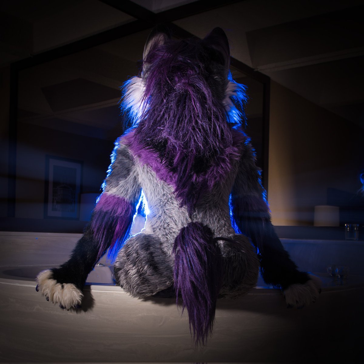Cat 🍑 on a tub for this #FursuitFriday . 

Should she jump in?